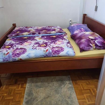 Terme Catez Apartma Nine チャテジ・オプ・サヴィ エクステリア 写真