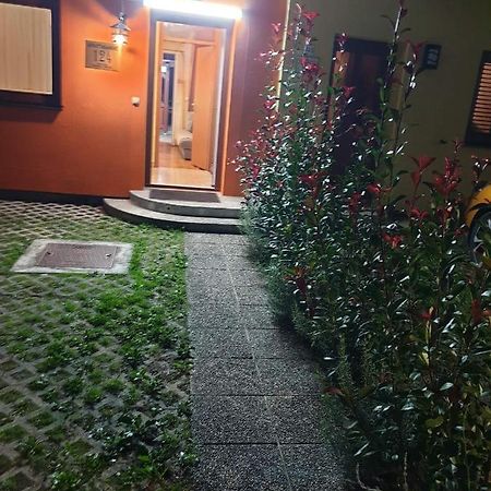 Terme Catez Apartma Nine チャテジ・オプ・サヴィ エクステリア 写真
