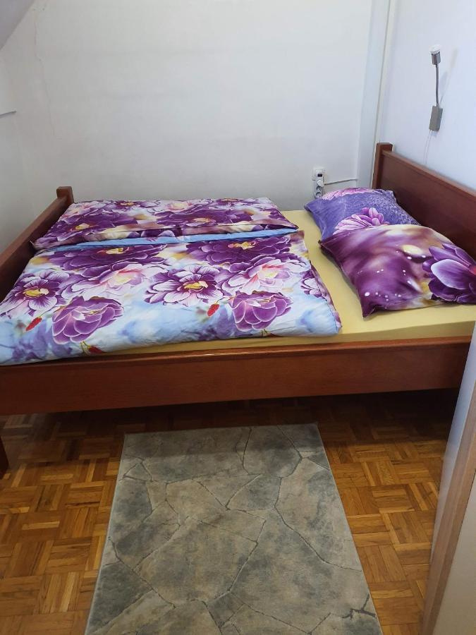 Terme Catez Apartma Nine チャテジ・オプ・サヴィ エクステリア 写真