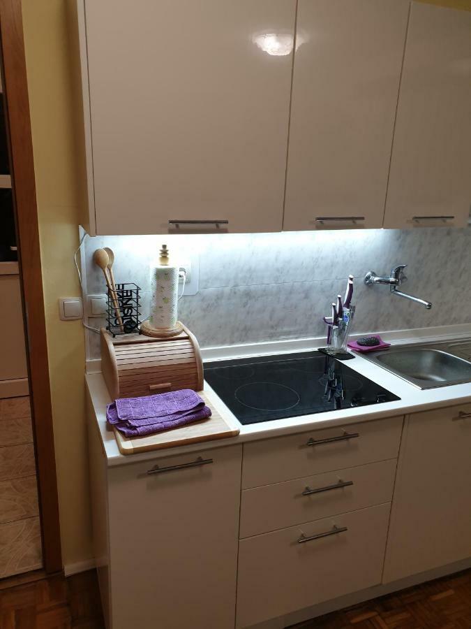 Terme Catez Apartma Nine チャテジ・オプ・サヴィ エクステリア 写真