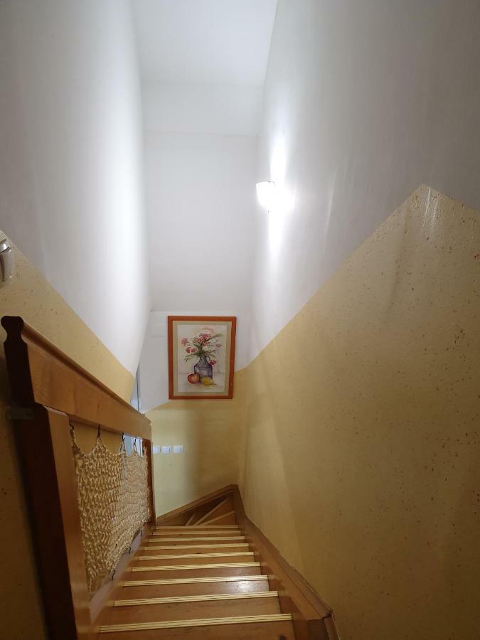 Terme Catez Apartma Nine チャテジ・オプ・サヴィ エクステリア 写真