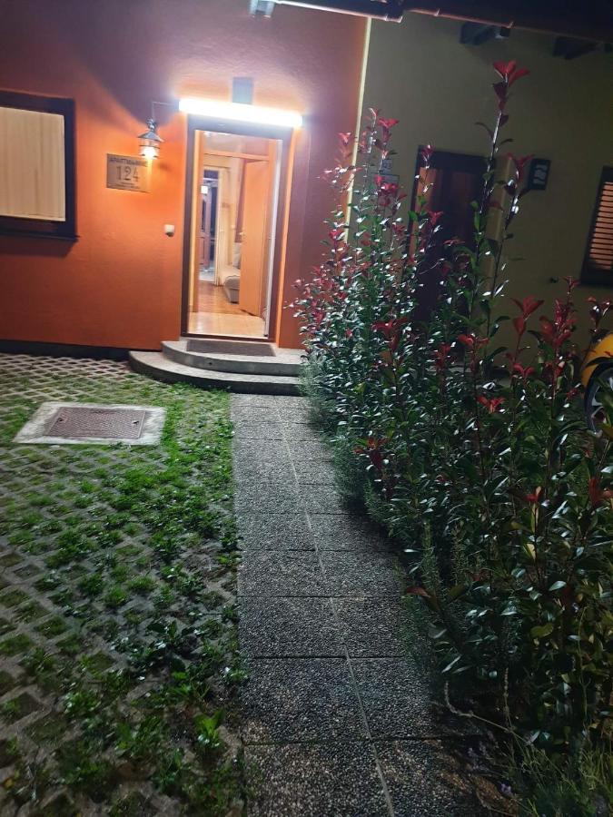Terme Catez Apartma Nine チャテジ・オプ・サヴィ エクステリア 写真