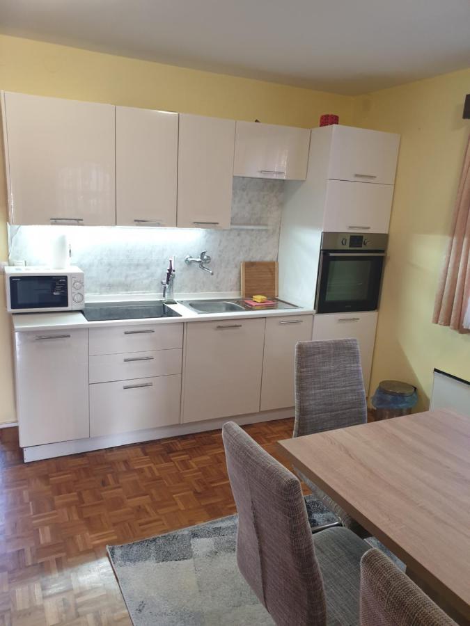 Terme Catez Apartma Nine チャテジ・オプ・サヴィ エクステリア 写真